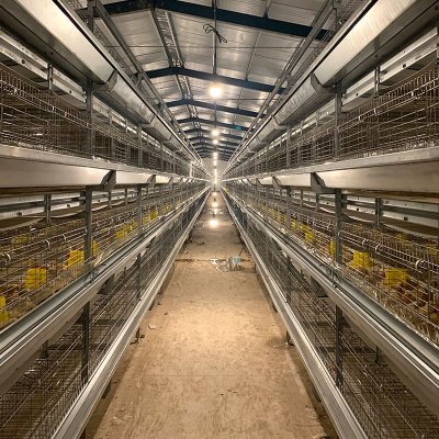 Broiler Cage