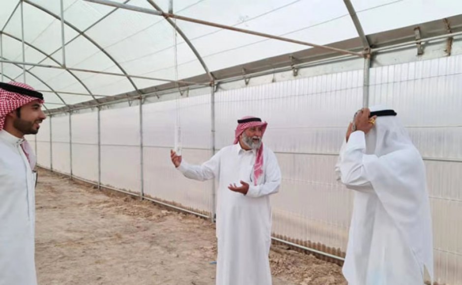 Saudi Arabia Greenhouse Ventilation Project
