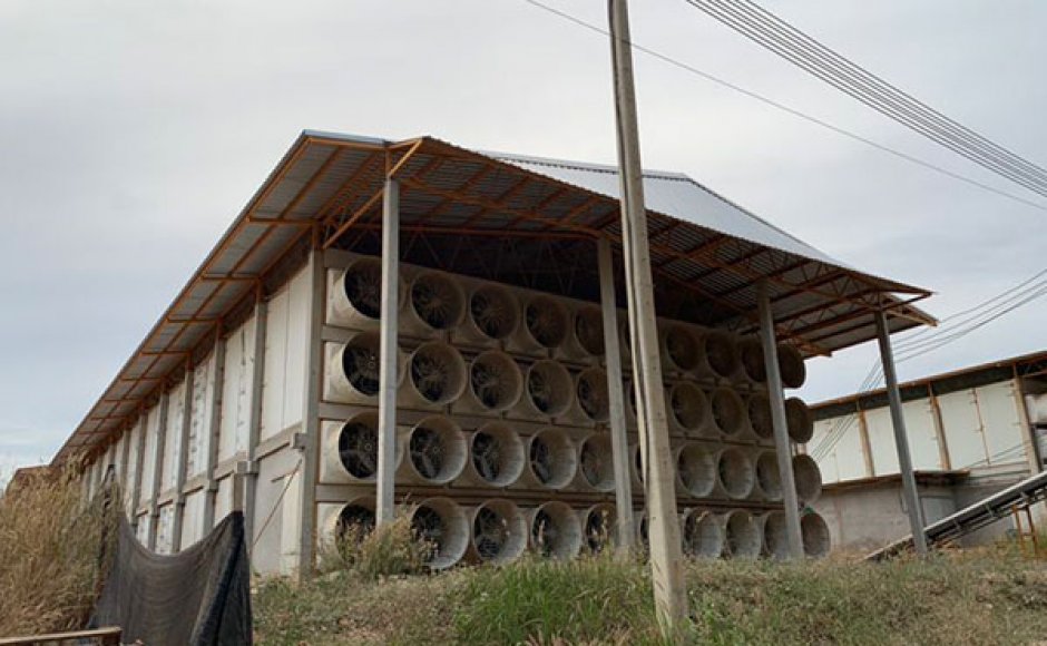 Thailand Poultry House Ventilation