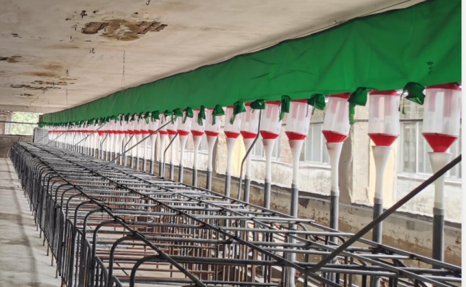 Pig Farm Feeding System and Environmental Control