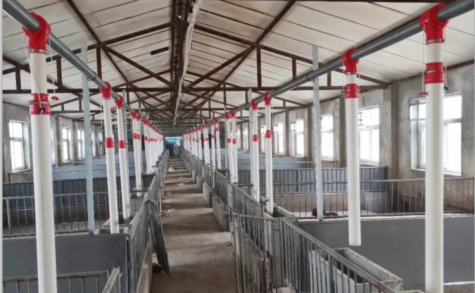 1000，000 Pig Farm Fattening House First-stage Project