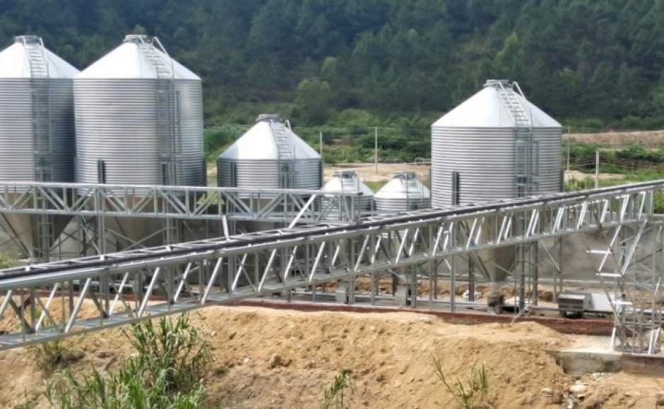 Guangdong pig Farm with  New 102 Feeding System