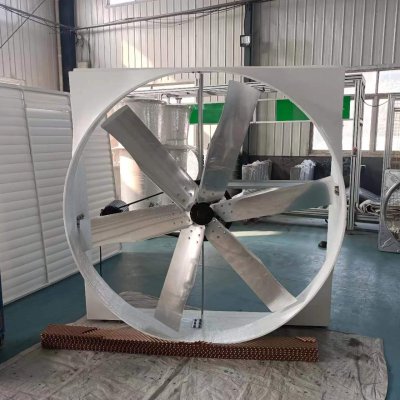 72'' Dairy Wall Fan