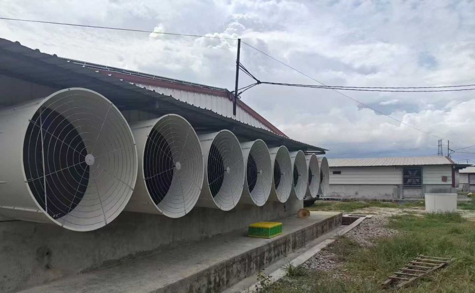Gofee's Fiberglass Cone Fan with Damper-Malaysia Poultry House Project